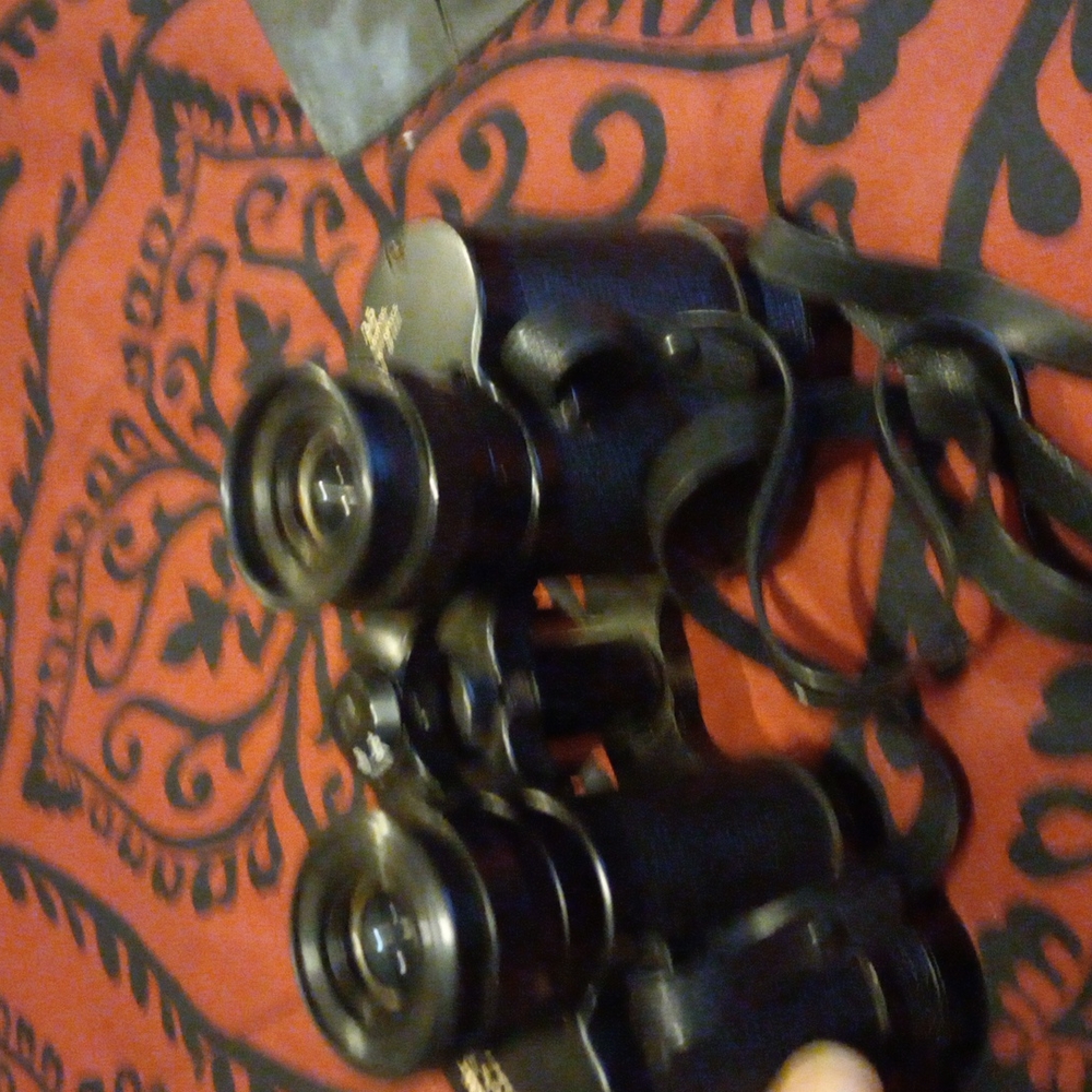 Bushnell Binoculars